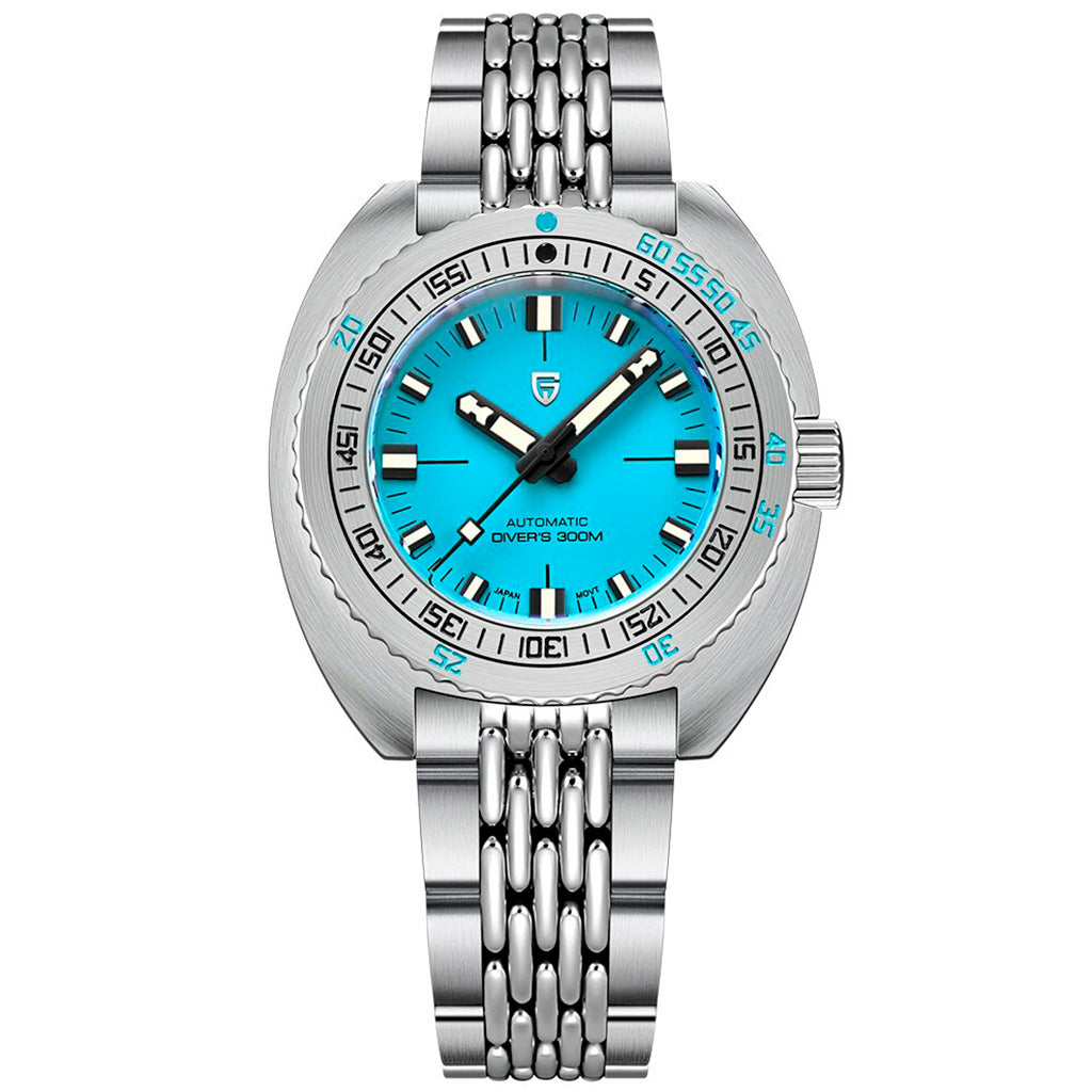 Pagani Design Turtle Turquoise product photo