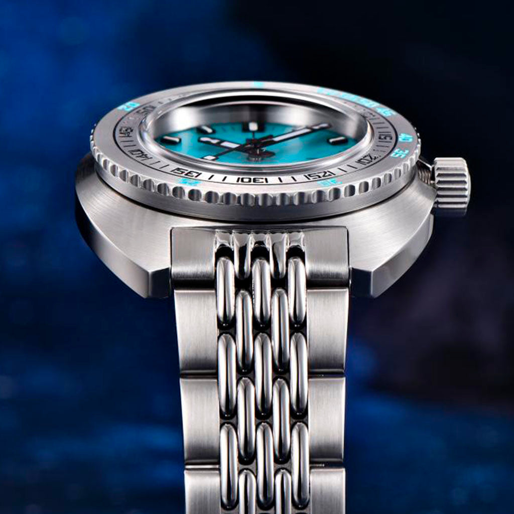 Pagani Design Turtle Turquoise product photo