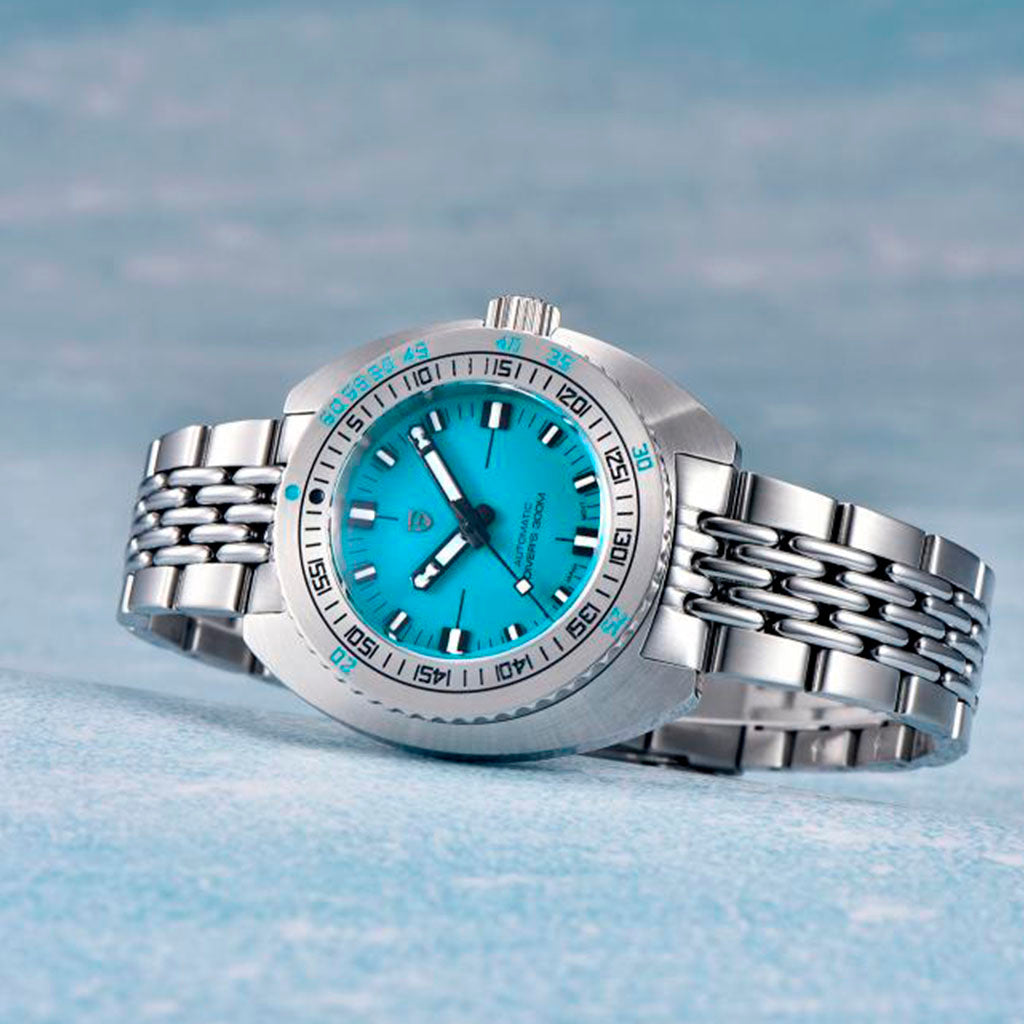 Pagani Design Turtle Turquoise product photo