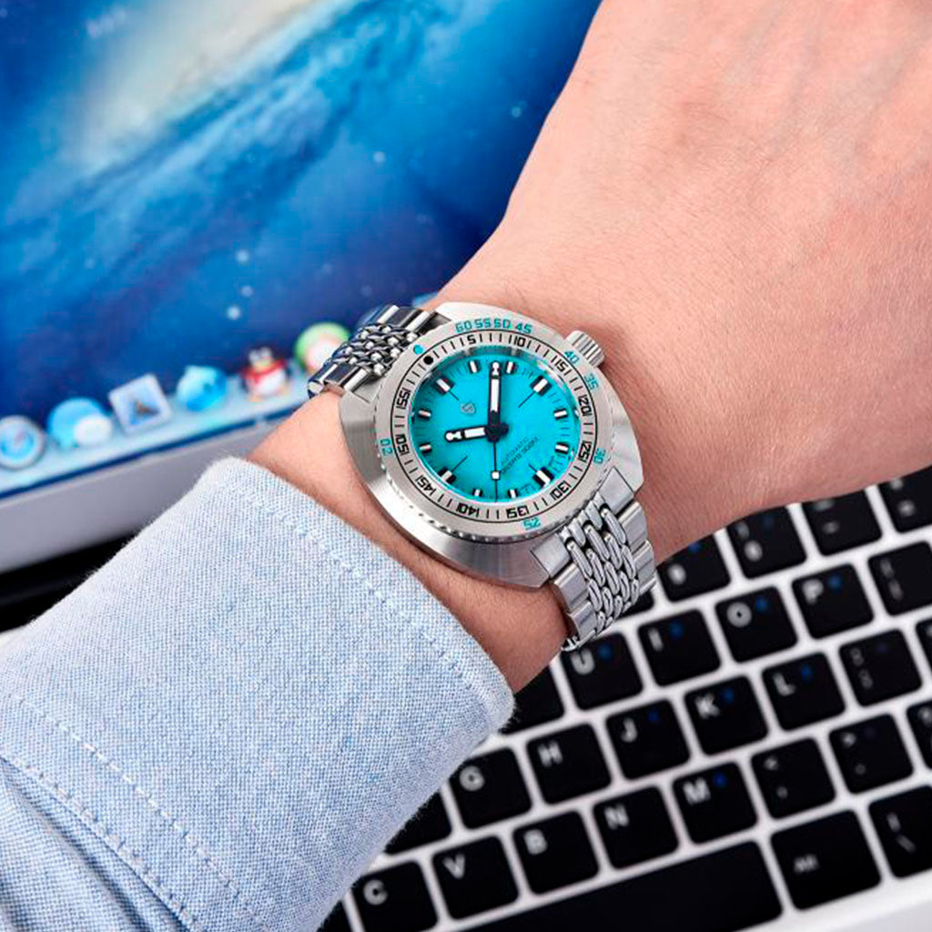 Pagani Design Turtle Turquoise product photo