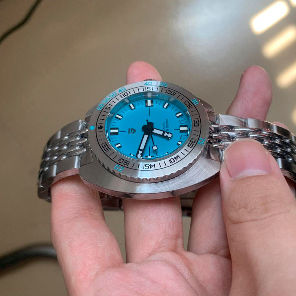 Pagani Design Turtle Turquoise product photo