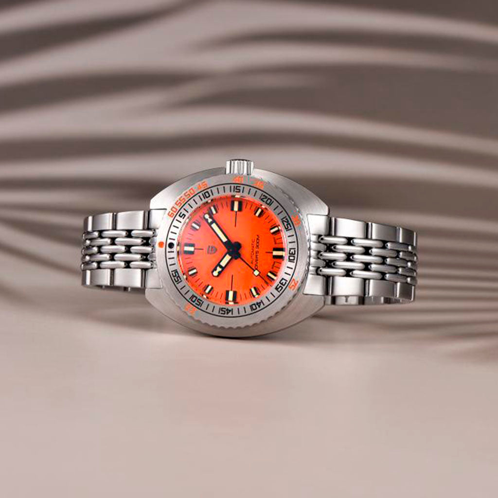 Pagani Design Turtle Orange product photo