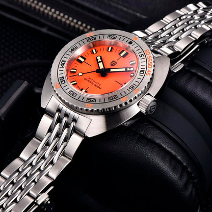 Pagani Design Turtle Orange product photo
